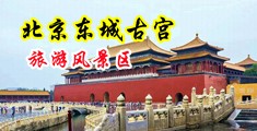 男的jj插入女生的屁股里的小视频软件中国北京-东城古宫旅游风景区